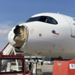 Avión aterriza de emergencia tras chocar con buitre en Madrid